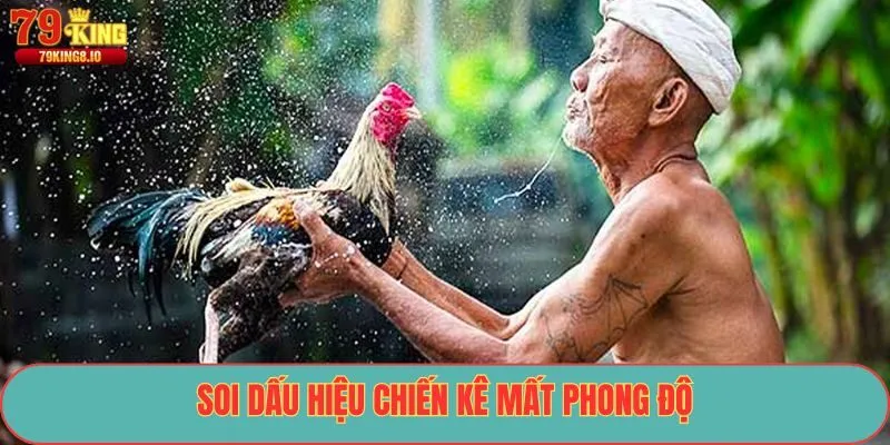 Soi dấu hiệu chiến kê mất phong độ